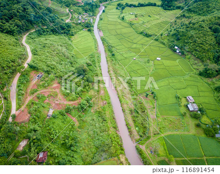 Beautiful aerial view of Wah river runs through rice paddy field in Sapan village of Nan province of Thailand in rainy season. 116891454