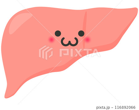 肝臓 肝臓 116892066