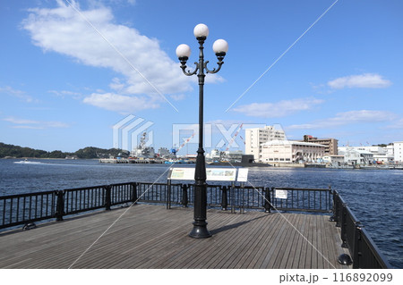 横須賀 ヴェルニー公園からの風景 横須賀 ヴェルニー公園からの風景 116892099