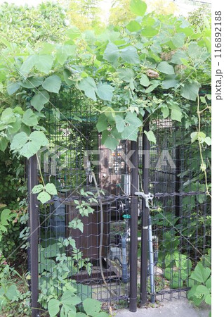 東京都新宿区、植物に飲まれた公園の設備 116892188