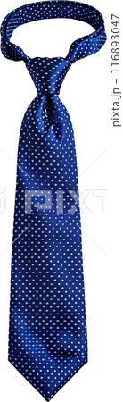 シンプルなネクタイ シンプルなネクタイ 116893047