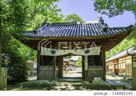四国八十八箇所85番 八栗寺 二天門 香川県高松市 四国八十八箇所85番 八栗寺 二天門 香川県高松市 116893143