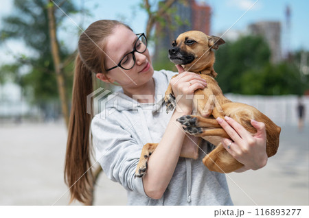 Young Caucasian woman holding a small dog in her hands.  116893277