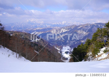 冬季日光白根山の散策路からの武尊山 冬季日光白根山の散策路からの武尊山 116893312