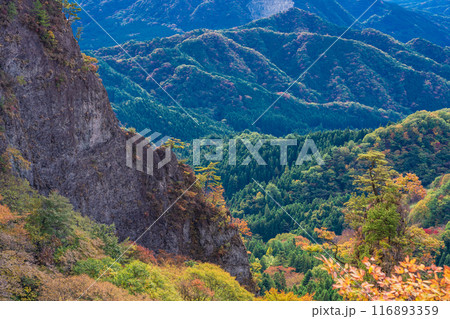 【群馬県】紅葉が美しい妙義山から、日暮の景（ひぐらしのけい） 116893359