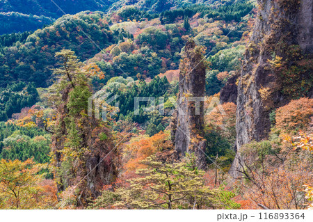 【群馬県】紅葉が美しい妙義山から、日暮の景(ひぐらしのけい) 【群馬県】紅葉が美しい妙義山から、日暮の景(ひぐらしのけい) 116893364