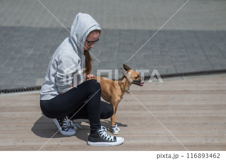Young Caucasian woman lying on the lawn while walking with a small dog.  116893462