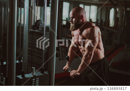 Bald Caucasian Bodybuilder doing heavy triceps exercises with cable.  116893817