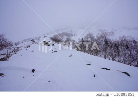 冬季日光白根山の頂上付近の登山道 116893853