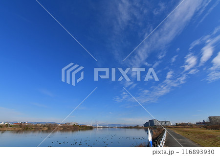 空 116893930