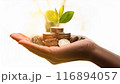 手のひらに乗ったコインから若葉が生えている 116894057