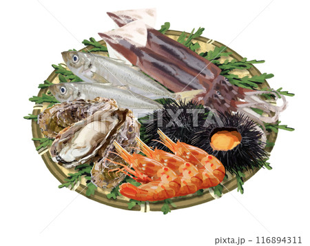 海の幸セット（ザル、ヒノキの葉付き） 116894311