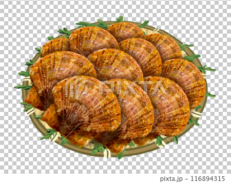 Scallops (with colander and cypress leaves) 116894315