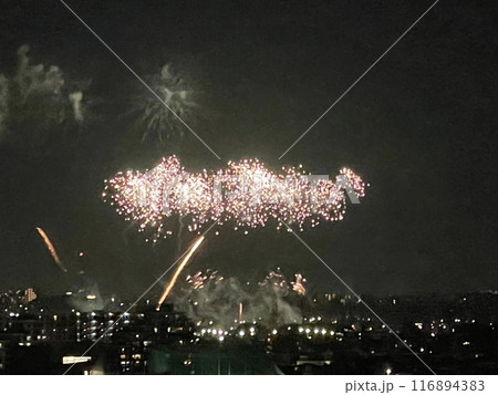 夏の花火　2024葛飾柴又花火大会 116894383
