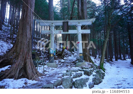冬季雲取山登山道の鳥居 116894553
