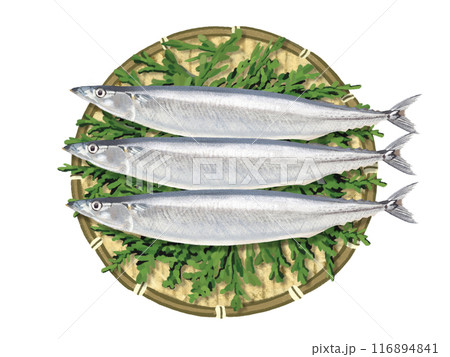 秋刀魚(ザル、檜の葉付き) 秋刀魚(ザル、檜の葉付き) 116894841