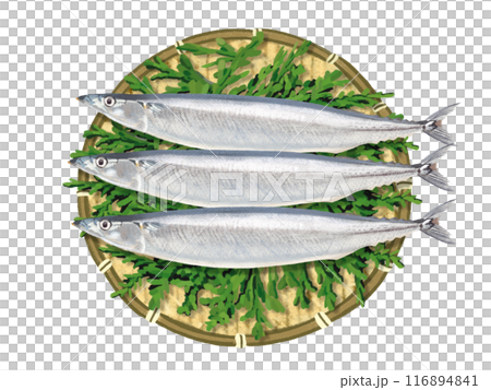 秋刀魚(ザル、檜の葉付き) 秋刀魚(ザル、檜の葉付き) 116894841