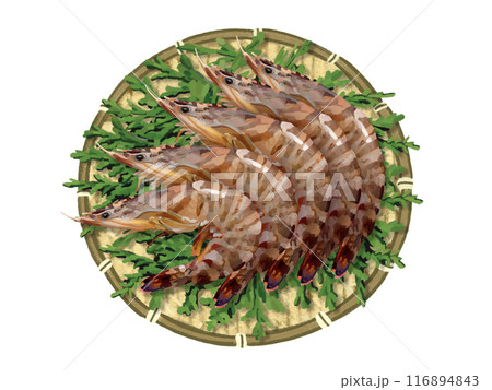 車海老(ザル、杉の葉付き) 車海老(ザル、杉の葉付き) 116894843