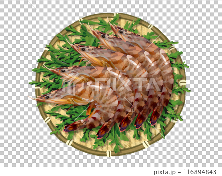 車海老(ザル、杉の葉付き) 車海老(ザル、杉の葉付き) 116894843