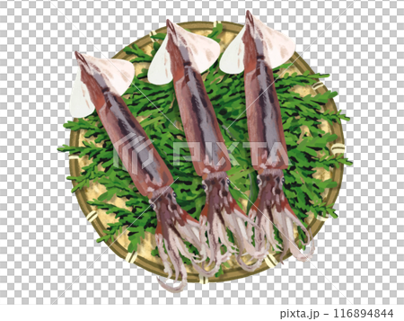 日本魷魚（附漏杓和柏葉） 116894844