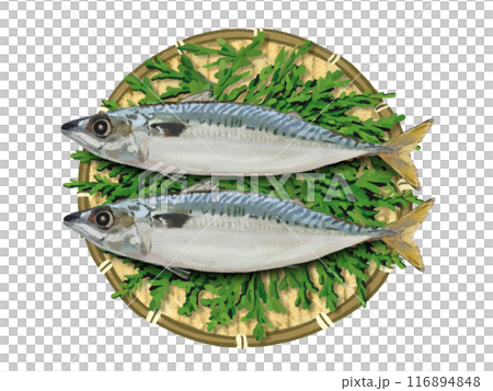 2條鯖魚(附漏杓和柏葉) 2條鯖魚(附漏杓和柏葉) 116894848