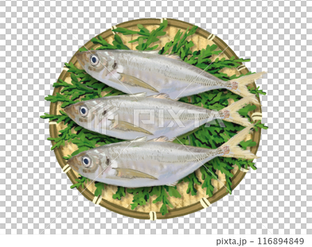 3條竹莢魚（帶漏杓和柏葉） 116894849