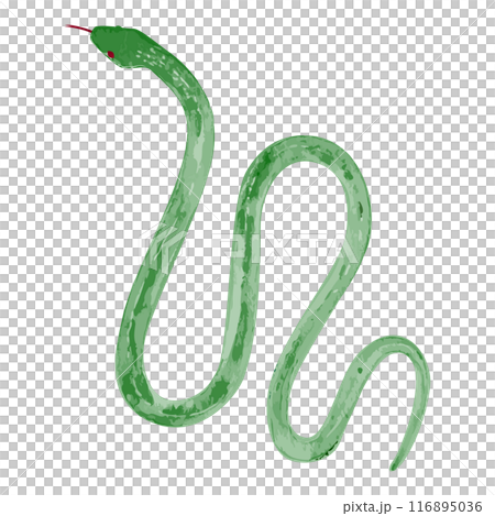 手繪簡單的青蛇插畫 116895036