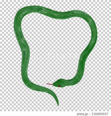 手繪簡單的青蛇插畫 116895037