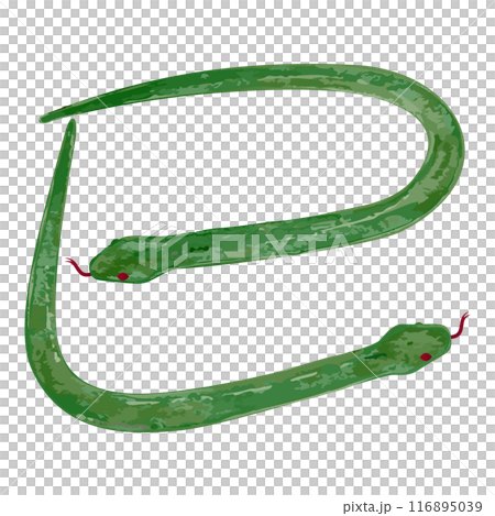 A simple hand-drawn illustration of a green snake in the shape of a snake A simple hand-drawn illustration of a green snake in the shape of a snake 116895039