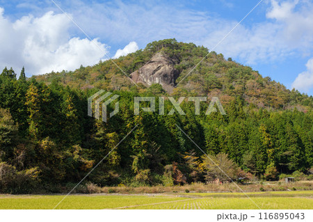 秋の鹿野ライオン岩 秋の鹿野ライオン岩 116895043