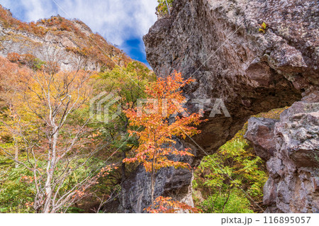 【群馬県】紅葉が美しい、妙義山第四石門付近の石門めぐり 116895057