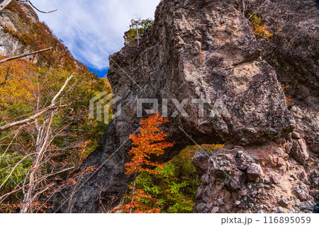【群馬県】紅葉が美しい、妙義山第四石門付近の石門めぐり 116895059