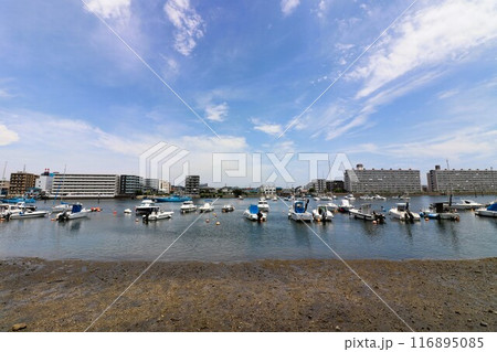 夏の平潟湾 116895085