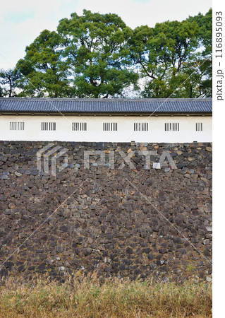 皇居　乾通り　富士見多聞（東京都千代田区） 116895093