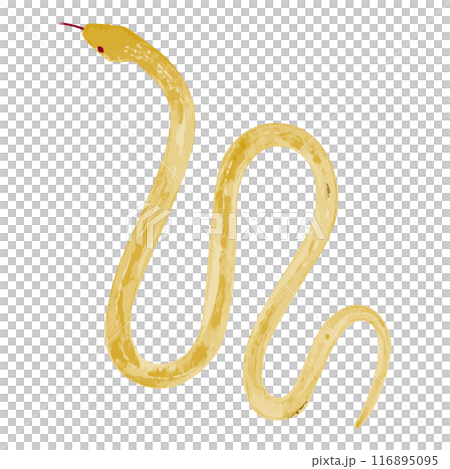 Hand drawn simple golden snake illustration 116895095