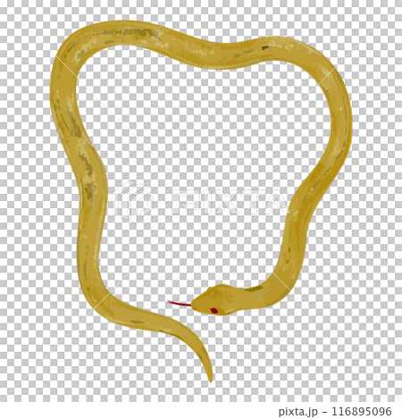 Hand drawn simple golden snake illustration 116895096