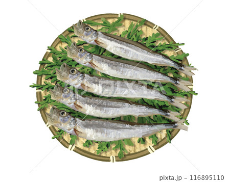 ししゃも（ザル、杉の葉付き） 116895110