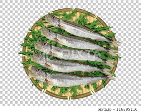 ししゃも（ザル、杉の葉付き） 116895110