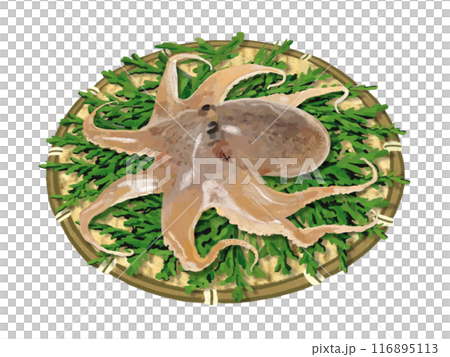 章魚（有漏杓和柏葉） 116895113