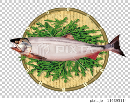 1條鮭魚（附漏杓和扁柏葉） 116895114