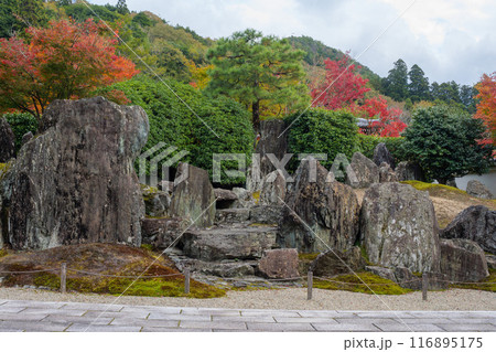 漢陽寺の紅葉 116895175