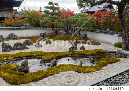 漢陽寺の紅葉 漢陽寺の紅葉 116895194