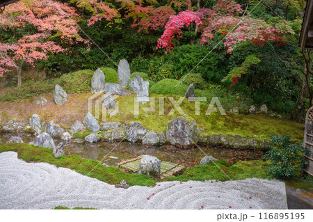 漢陽寺の紅葉 116895195