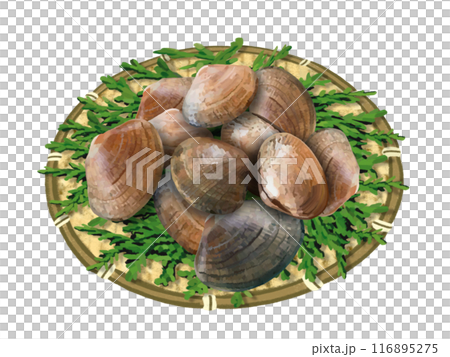 蛤蜊(附漏杓和扁柏葉) 蛤蜊(附漏杓和扁柏葉) 116895275