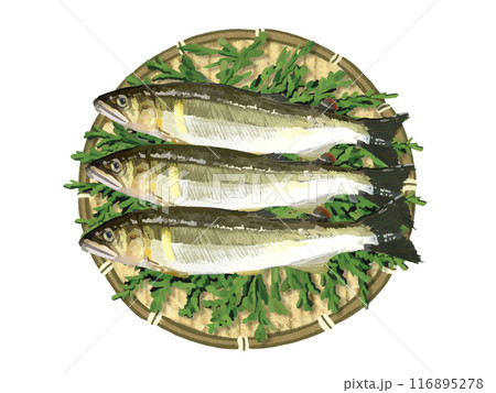 鮎（ザル、檜の葉付き） 116895278