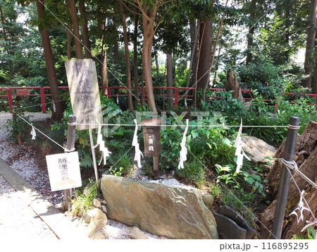 勝呂神社　　（埼玉県坂戸市） 116895295
