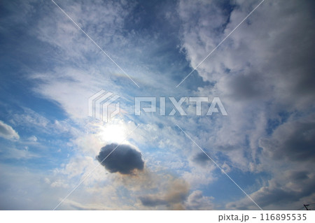 薄雲に隠れる太陽 薄雲に隠れる太陽 116895535