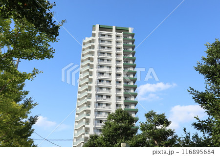 川崎　街並み 116895684