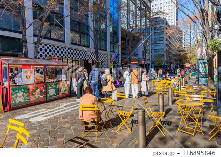 東京 千代田区 丸の内周辺の紅葉 東京 千代田区 丸の内周辺の紅葉 116895846