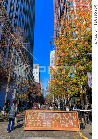 東京 千代田区 丸の内周辺の紅葉 東京 千代田区 丸の内周辺の紅葉 116895850